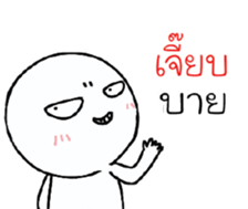 39490584