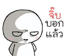 39490661