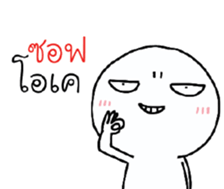 39491003
