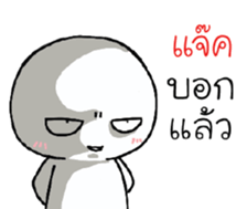 39491077