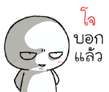 39491437
