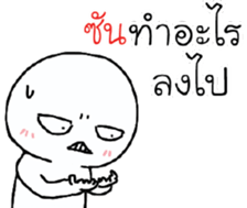 39491526