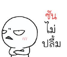 39491540
