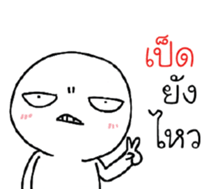 39492372