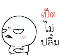 39492380