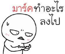 39492446