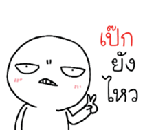 39492492
