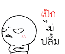 39492500