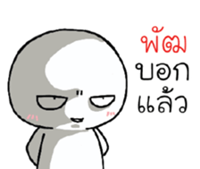 39492517