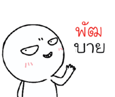 39492536