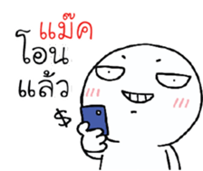 39492554