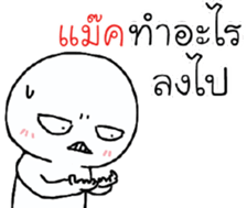 39492566