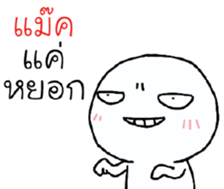 39492569