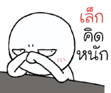 39492632