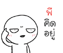39492843