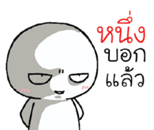 39493021