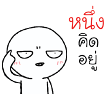 39493035