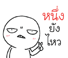 39493036