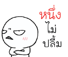 39493044