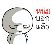 39493061