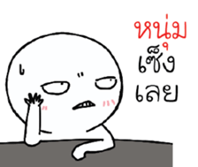 39493064