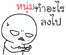 39493070