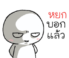 39493109
