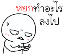 39493118