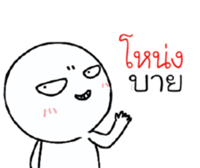 39493232