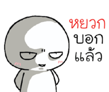 39493261