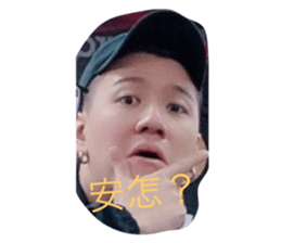 394932961