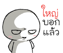 39493301