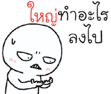 39493310