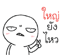 39493316