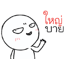 39493320