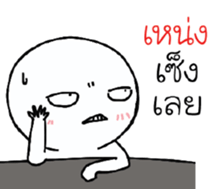 39493352