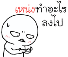 39493358
