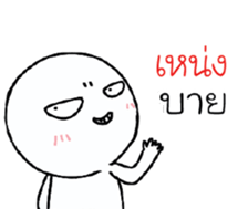 39493368
