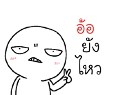 39493444