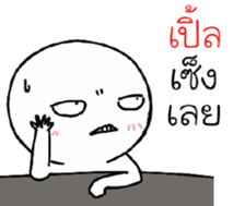 39493592