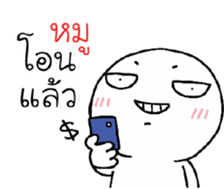 39493666