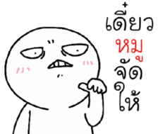 39493675