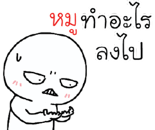39493678
