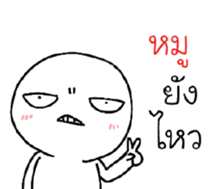 39493684