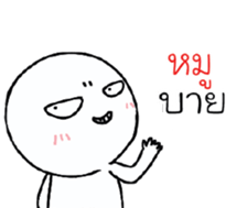 39493688