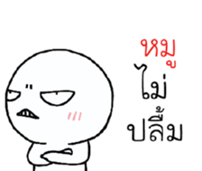 39493692