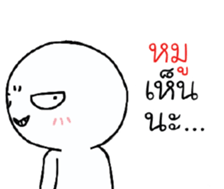 39493697