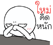 39494064