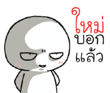 39494069