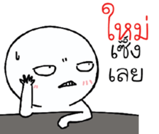 39494072